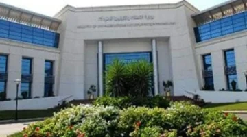 10 ملايين مشترك.. مؤشرات صعود قوية لمستخدمي الهاتف المحمول والأرضي في مصر